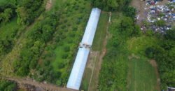 Prime Agricultural Land for Sale – Riche Mare