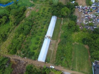 Prime Agricultural Land for Sale – Riche Mare