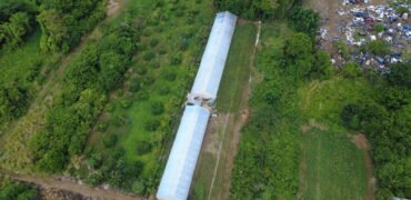 Prime Agricultural Land for Sale – Riche Mare