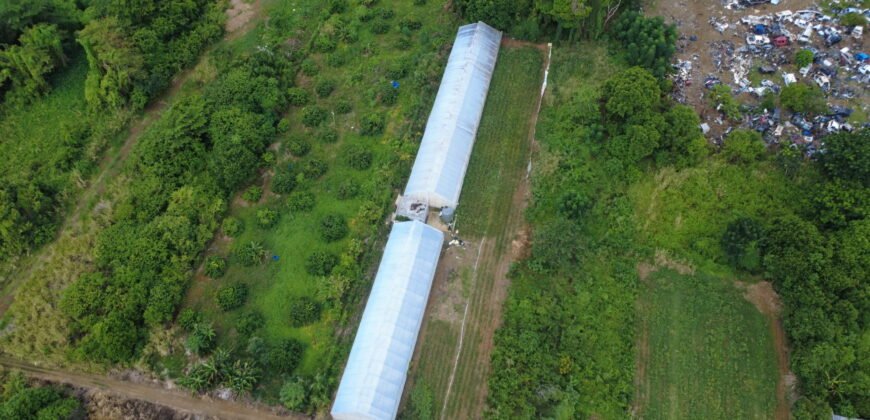 Prime Agricultural Land for Sale – Riche Mare