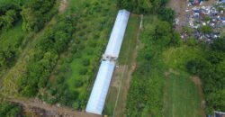 Prime Agricultural Land for Sale – Riche Mare