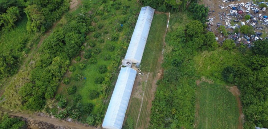 Prime Agricultural Land for Sale – Riche Mare