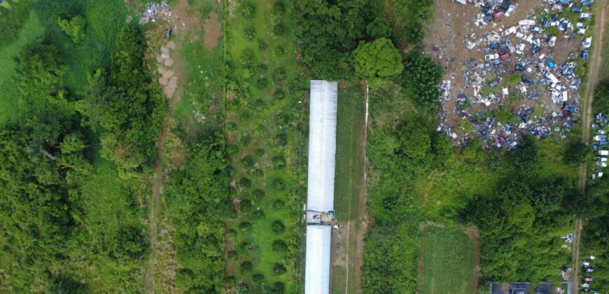 Prime Agricultural Land for Sale – Riche Mare