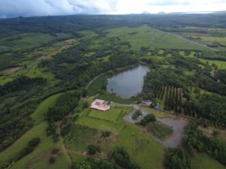 Agricultural land for sale in Bois Chéri