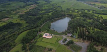 Agricultural land for sale in Bois Chéri