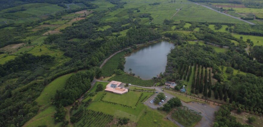 Agricultural land for sale in Bois Chéri