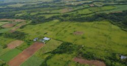 Agricultural land for sale in Bois Chéri