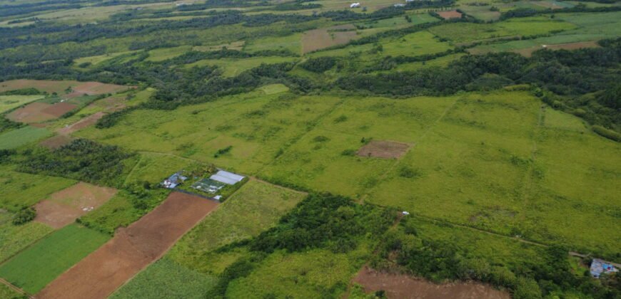 Agricultural land for sale in Bois Chéri