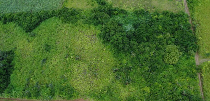 Agricultural land for sale in Bois Chéri
