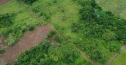 Agricultural land for sale in Bois Chéri