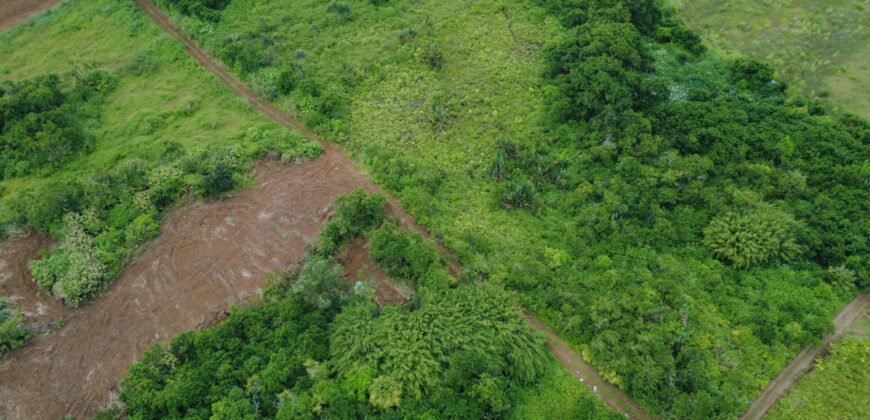 Agricultural land for sale in Bois Chéri