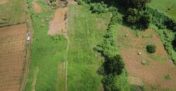 Prime Agricultural Land Available in Curepipe