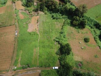 Prime Agricultural Land Available in Curepipe