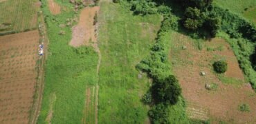 Prime Agricultural Land Available in Curepipe