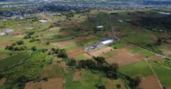 Prime Agricultural Land Available in Curepipe
