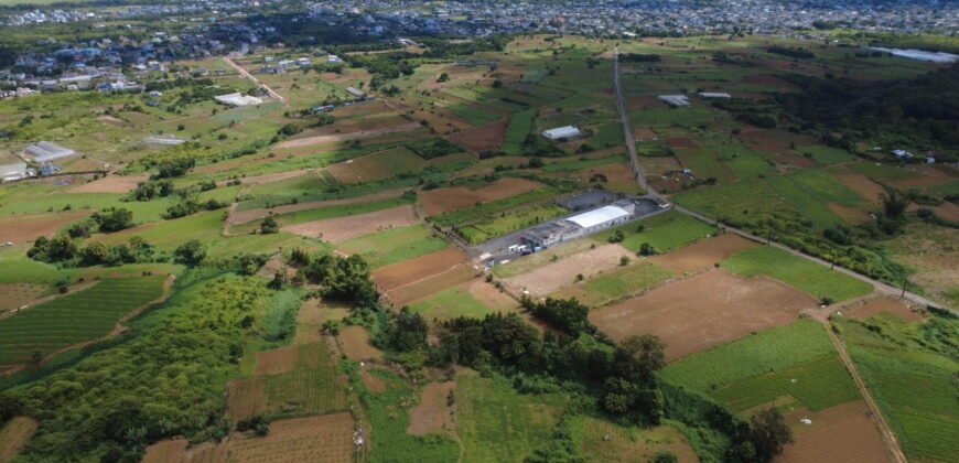 Prime Agricultural Land Available in Curepipe