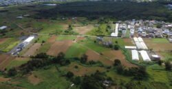Prime Agricultural Land Available in Curepipe