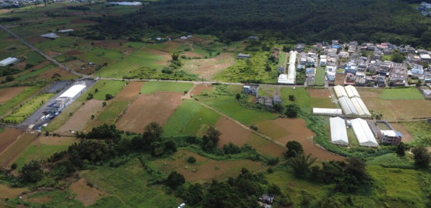 Prime Agricultural Land Available in Curepipe
