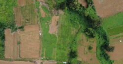 Prime Agricultural Land Available in Curepipe