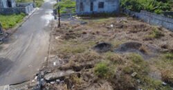 Build Your Dream Home in La-Marie!