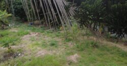Residential Land Available in Quatre Bornes