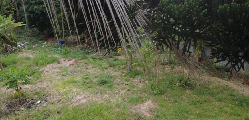 Residential Land Available in Quatre Bornes