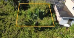 RESIDENTIAL LAND FOR SALE IN 16ème Mille, Mauritius
