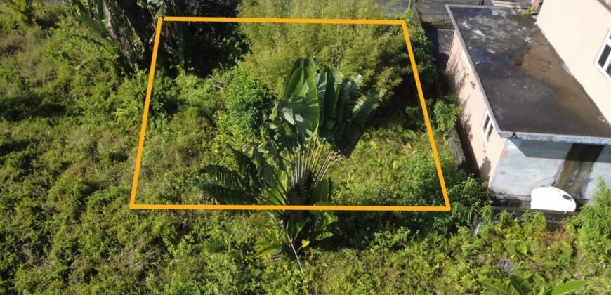 RESIDENTIAL LAND FOR SALE IN 16ème Mille, Mauritius