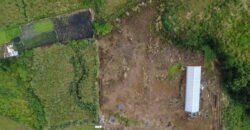 Agricultural Land for Sale Pellegrin, Petite Paquet, Montagne Blanche, Mauritius