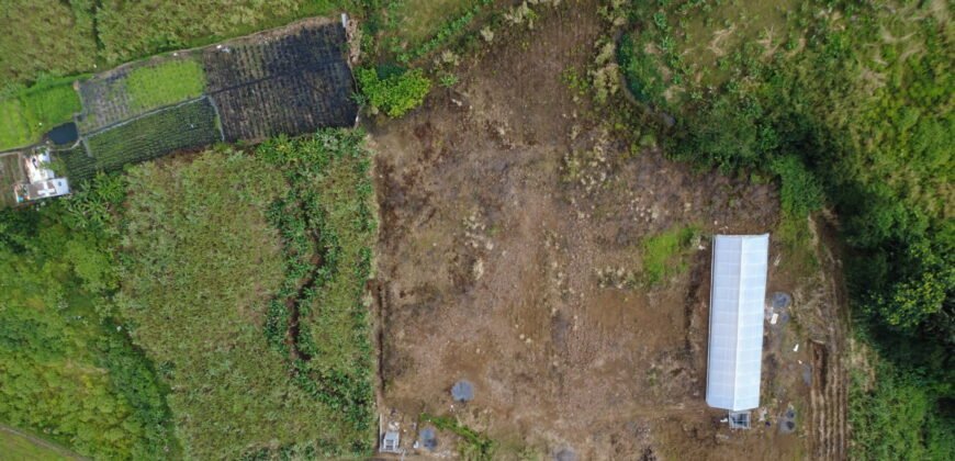 Agricultural Land for Sale Pellegrin, Petite Paquet, Montagne Blanche, Mauritius