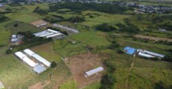 Agricultural Land for Sale Pellegrin, Petite Paquet, Montagne Blanche, Mauritius