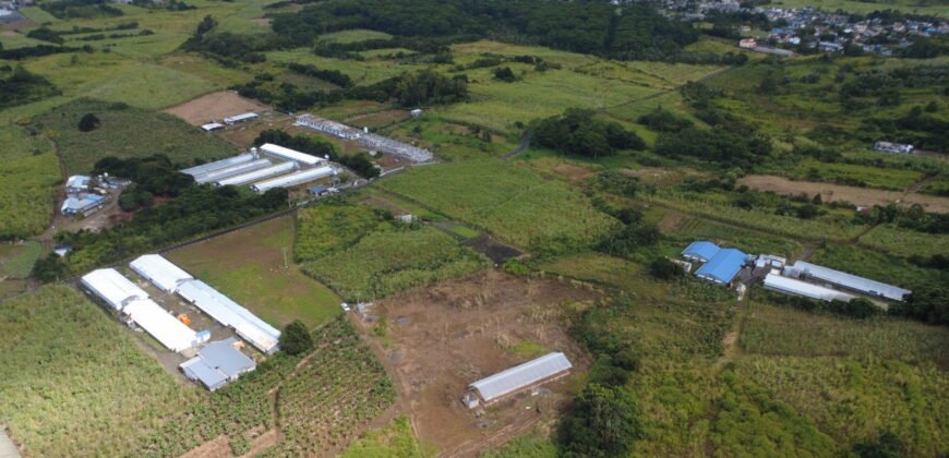 Agricultural Land for Sale Pellegrin, Petite Paquet, Montagne Blanche, Mauritius