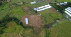 Agricultural Land for Sale Pellegrin, Petite Paquet, Montagne Blanche, Mauritius