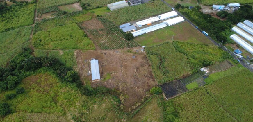 Agricultural Land for Sale Pellegrin, Petite Paquet, Montagne Blanche, Mauritius