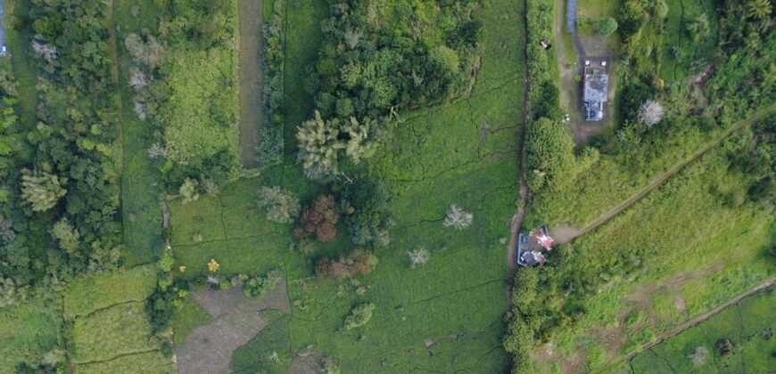 Agricultural Land for Sale in Nouvelle France, Mauritius