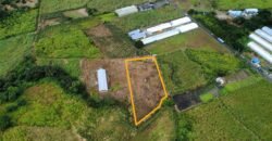 Agricultural Land for Sale Pellegrin, Petite Paquet, Montagne Blanche, Mauritius