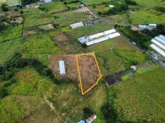 Agricultural Land for Sale Pellegrin, Petite Paquet, Montagne Blanche, Mauritius