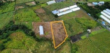 Agricultural Land for Sale Pellegrin, Petite Paquet, Montagne Blanche, Mauritius
