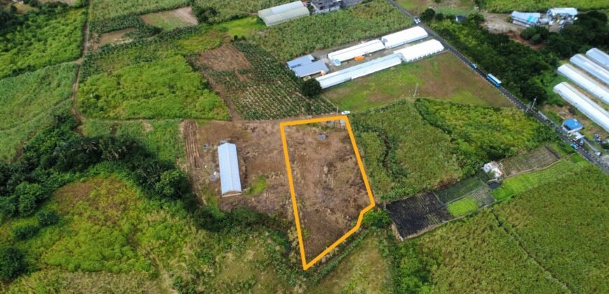 Agricultural Land for Sale Pellegrin, Petite Paquet, Montagne Blanche, Mauritius