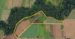 Agricultural Land for Sale in Henrietta, Moka