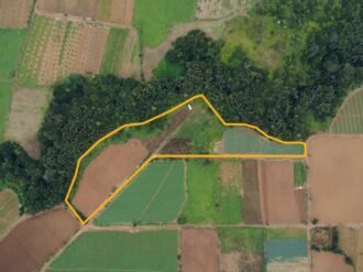 Agricultural Land for Sale in Henrietta, Moka