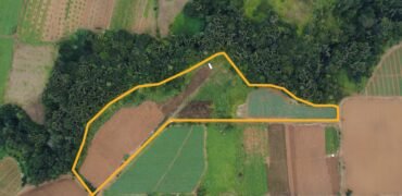 Agricultural Land for Sale in Henrietta, Moka