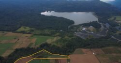 Agricultural Land for Sale in Henrietta, Moka