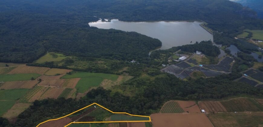 Agricultural Land for Sale in Henrietta, Moka