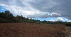 Agricultural Land for Sale in Henrietta, Moka