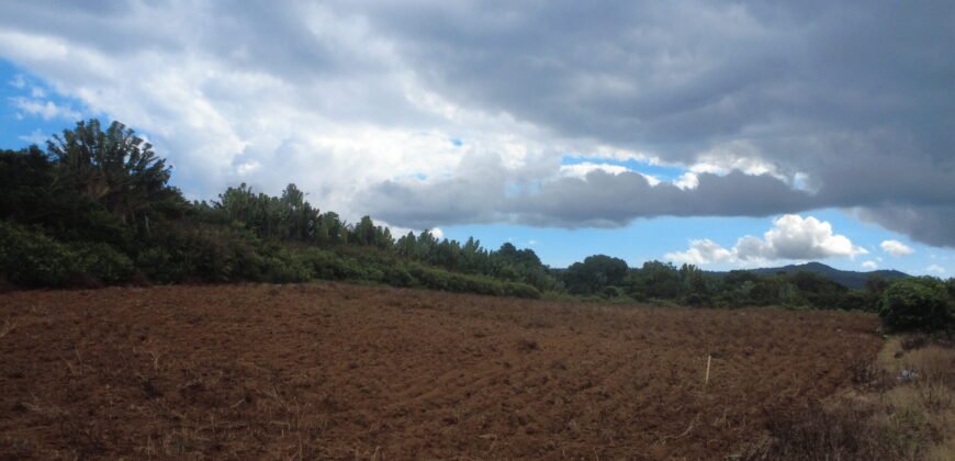 Agricultural Land for Sale in Henrietta, Moka