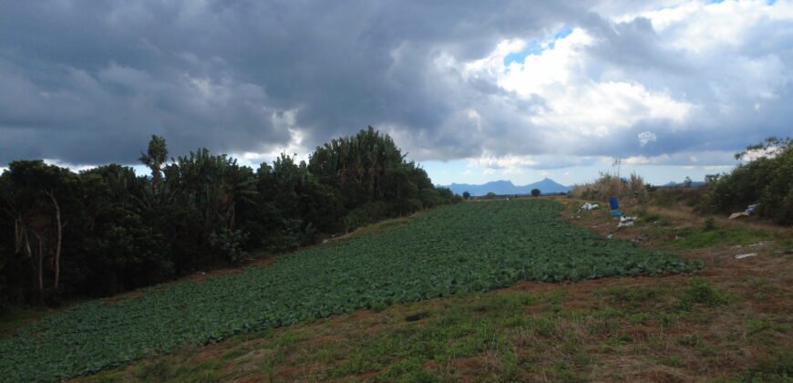 Agricultural Land for Sale in Henrietta, Moka