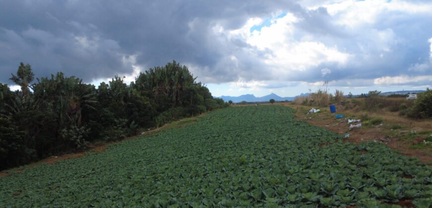 Agricultural Land for Sale in Henrietta, Moka