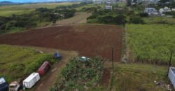 Prime Residential Land for Sale in Union Park!