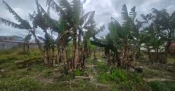 Prime Residential Land for Sale in Union Park!